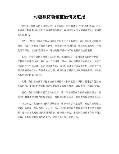 村级扶贫领域整治情况汇报
