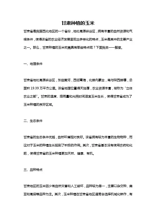 甘肃种植的玉米