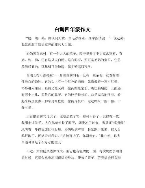 白鹅四年级作文