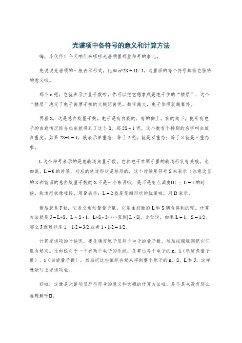 光谱项中各符号的意义和计算方法