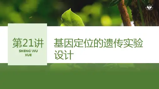高三生物课件 基因定位的遗传实验设计
