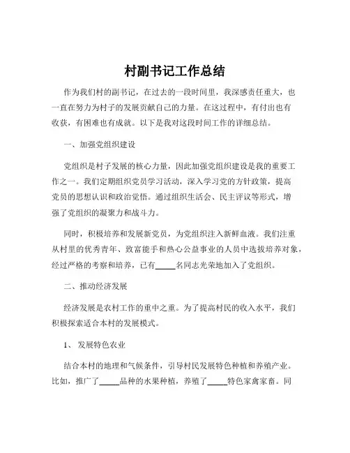 村副书记工作总结