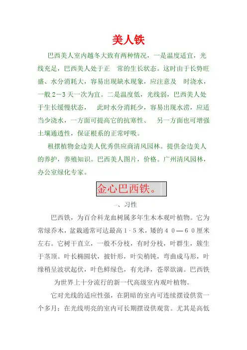 美人铁的养殖方法