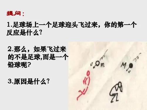 动量基本知识ppt课件