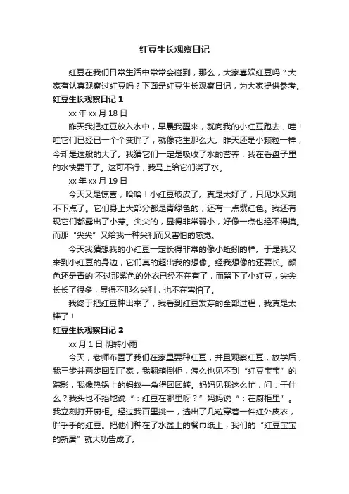 红豆生长观察日记