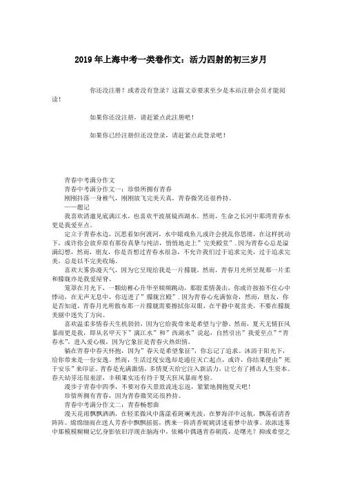 2019年上海中考一类卷作文：活力四射的初三岁月.doc
