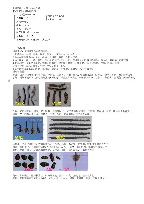 执业药师考试中药学专业知识一之中药鉴定考点复习(七)