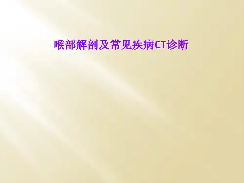 喉部解剖及常见疾病CT诊断