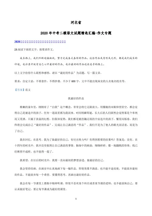 2020年河北省中考二模语文试题分类汇编：作文专题
