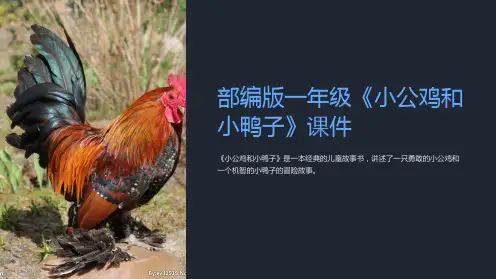 部编版一年级《小公鸡和小鸭子》课件