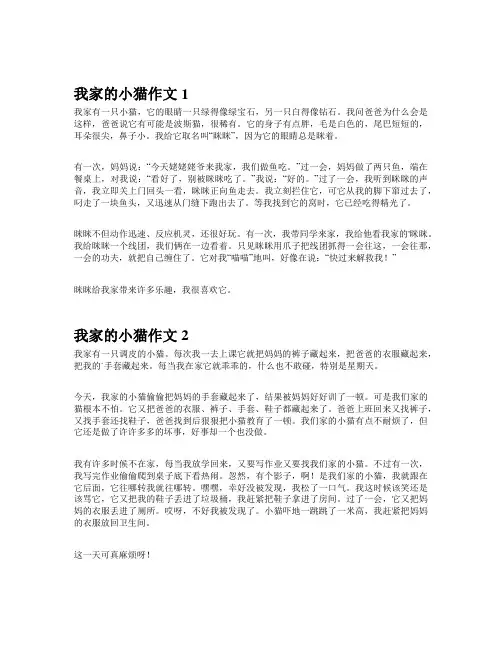 作文《我家的小猫》202个字