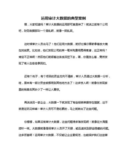 运用审计大数据的典型案例