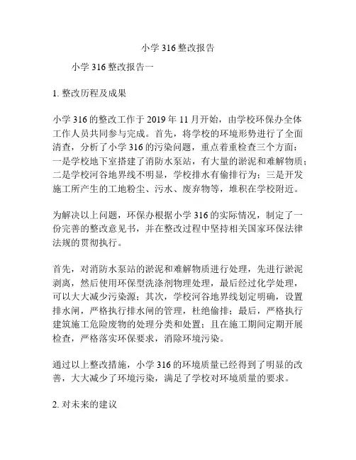 小学316整改报告