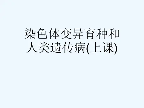 染色体变异育种和人类遗传病(上课)[可修改版ppt]