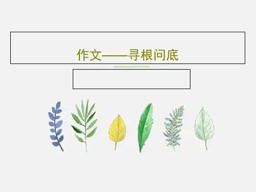 作文——寻根问底20页PPT