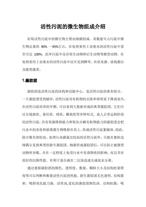 活性污泥的微生物组成介绍