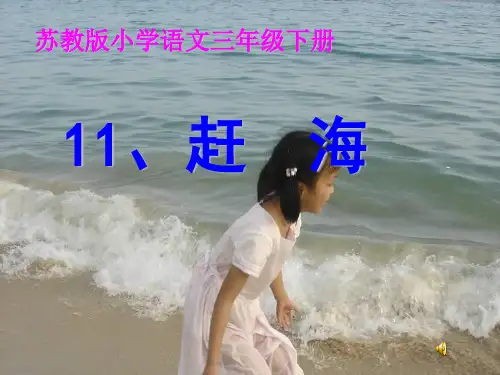 苏教版三年级下册《赶海》PPT课件