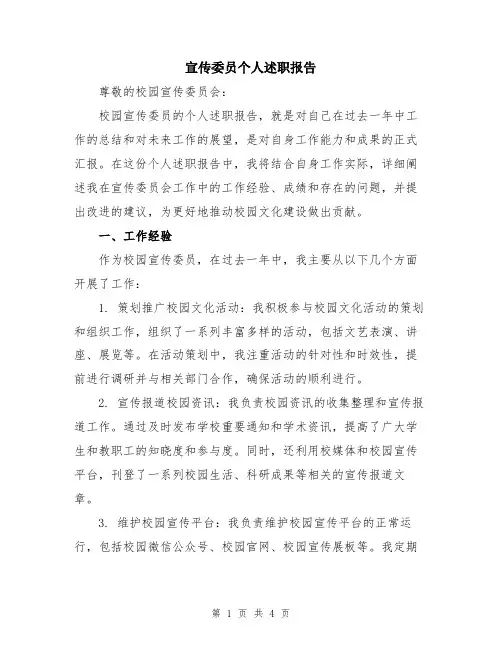 宣传委员个人述职报告