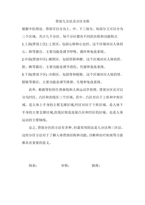 背部九分法及分区名称