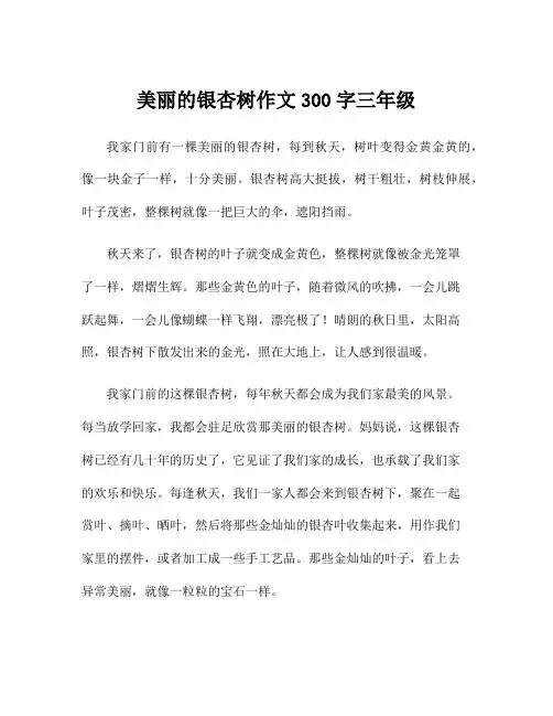 美丽的银杏树作文300字三年级