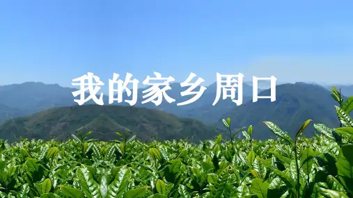 我的家乡周口