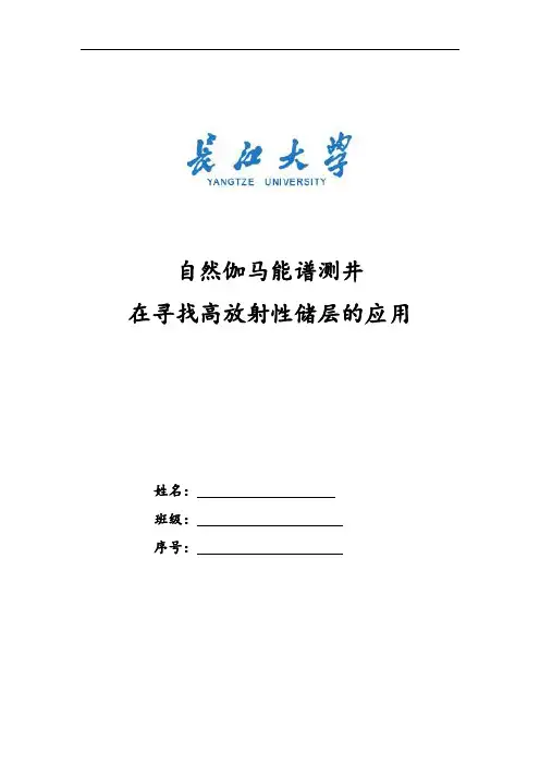 自然伽马能谱测井在寻找高放射性储层的应用