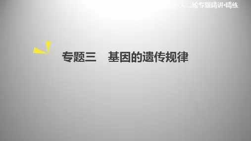高考二轮复习：基因的遗传规律