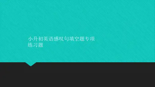 小升初英语感叹句填空题专项练习题