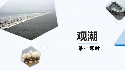 部编版语文四年级上册1《观潮》课件(2课时共20张PPT)