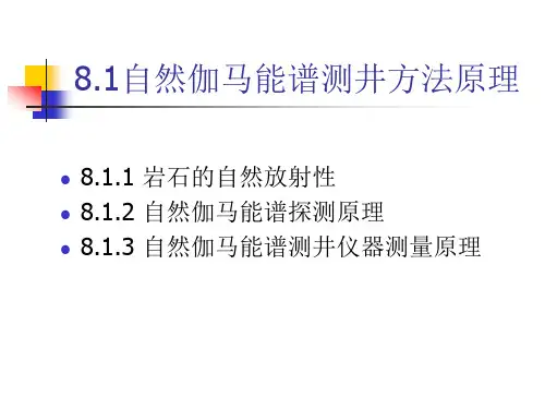 自然伽马能谱测井仪器
