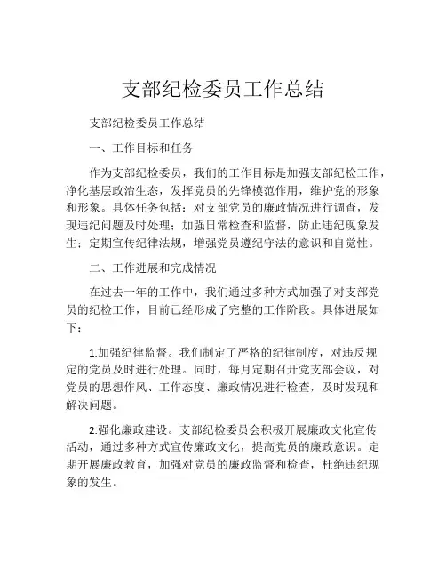 支部纪检委员工作总结