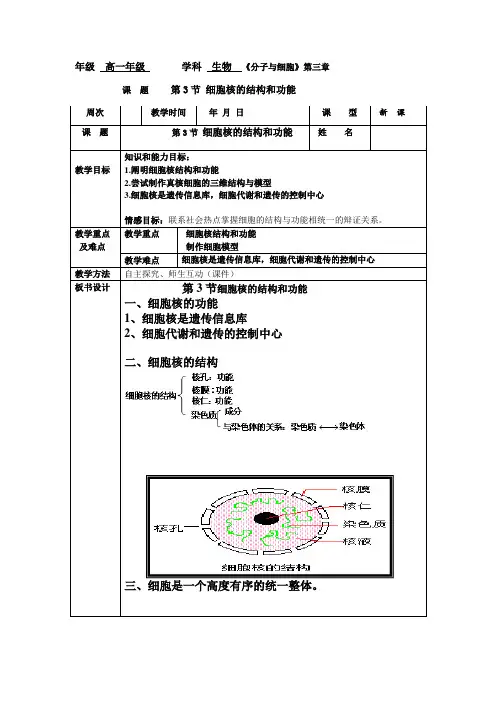 《细胞核的结构和功能》教案 人教高中生物必修一