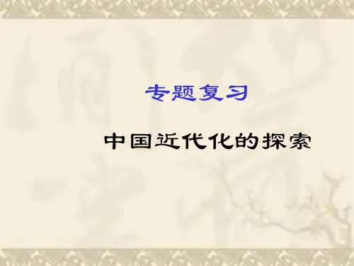 专题复习中国近代化探索(可修改).ppt
