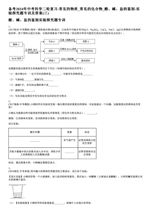 备考2024年中考科学二轮复习-常见的化合物_酸、碱、盐的鉴别-实验探究题专训及答案(三)