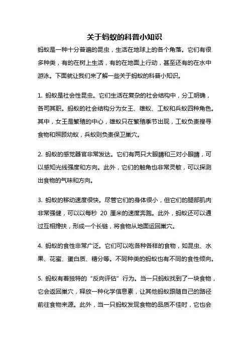 关于蚂蚁的科普小知识