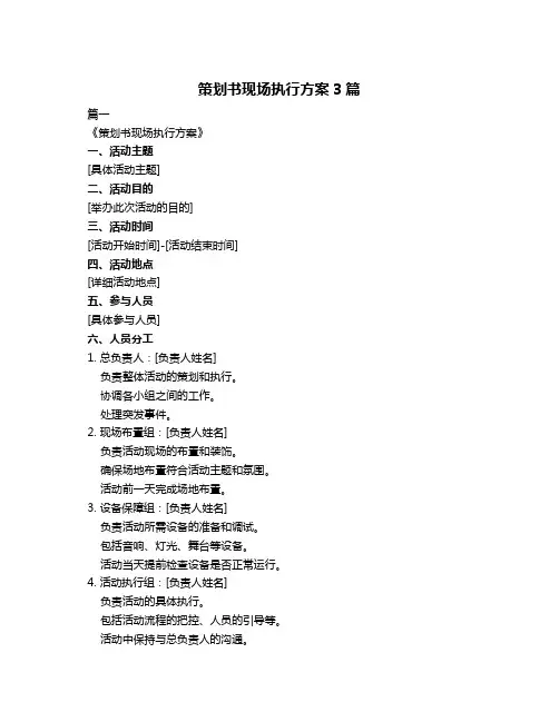策划书现场执行方案3篇