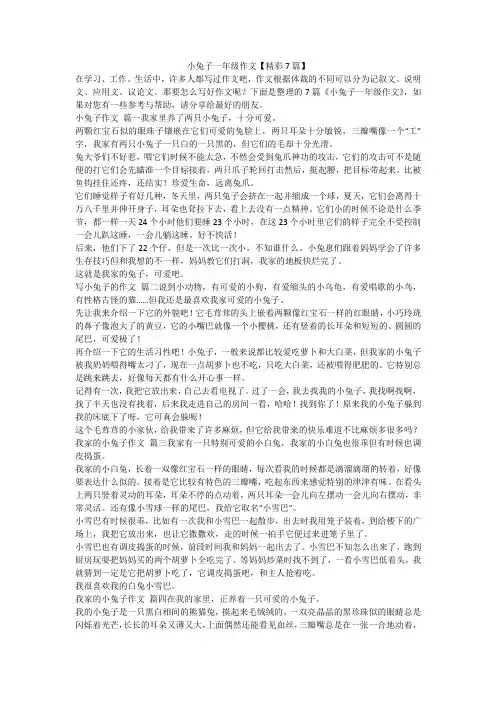 2023最新-小兔子一年级作文【精彩7篇】