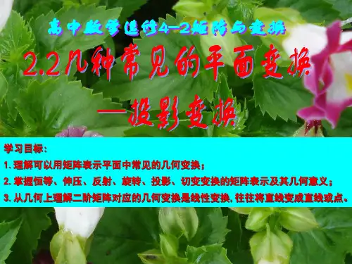 常见的几种平面变换(投影变换) ppt