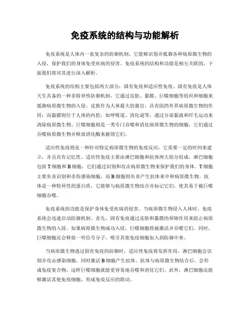 免疫系统的结构与功能解析