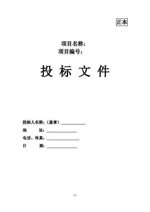 软件投标方案(模板)