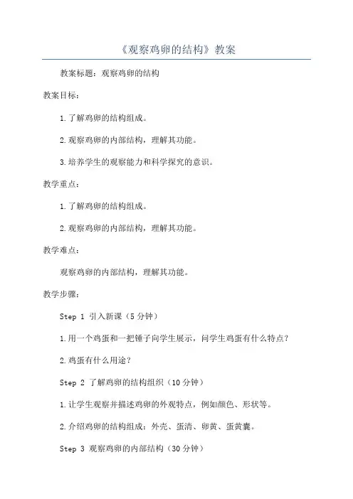 《观察鸡卵的结构》教案