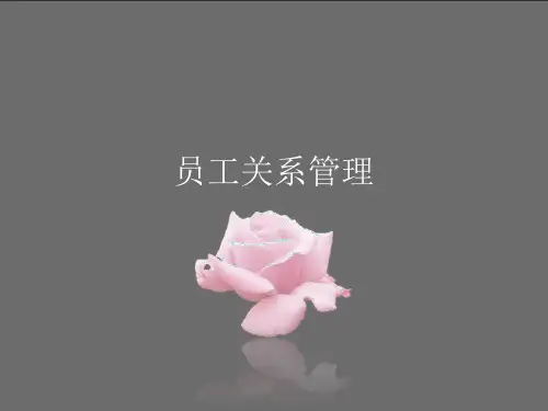 员工关系管理ppt课件