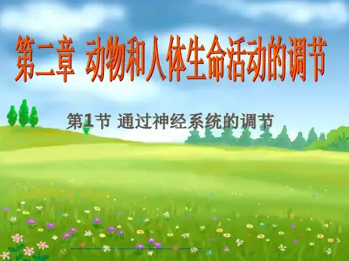 人教版生物必修三通过神经系统的调节(56张)-PPT优秀课件