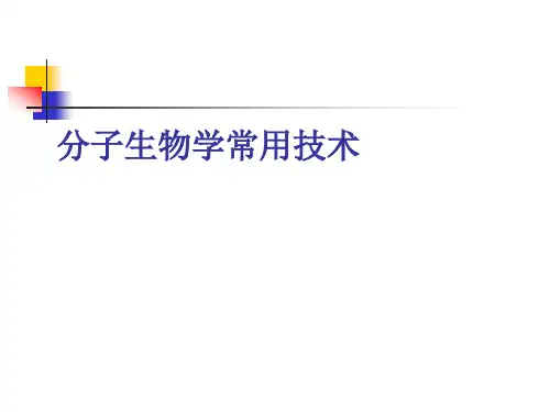 分子生物讲义：第七章 分子生物学常用技术