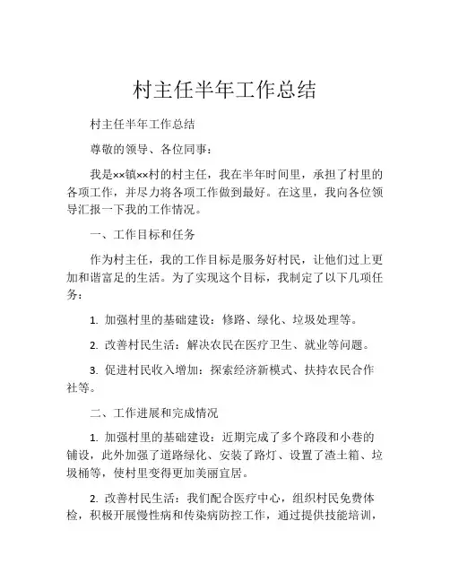 村主任半年工作总结
