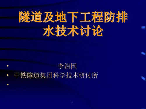 隧道及地下工程防排水技术探讨(最新)ppt课件