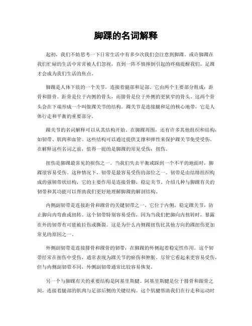 脚踝的名词解释