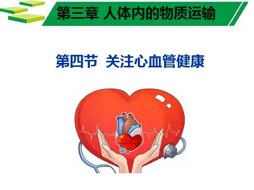 关注心血管健康-七年级下册生物课件(济南版)