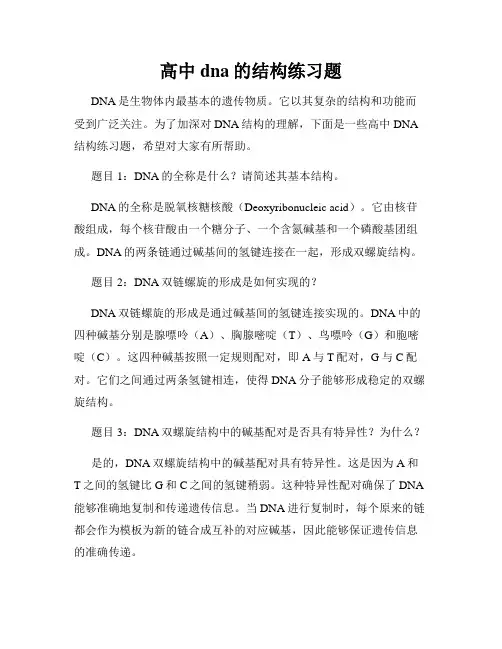 高中dna的结构练习题
