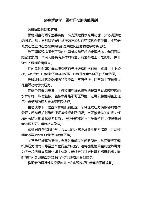 疼痛解剖学｜颈椎间盘的功能解剖